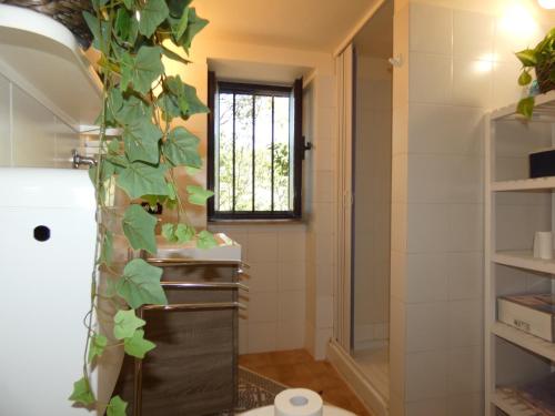 a bathroom with a plant growing up the wall at SCAPPO IN UMBRIA, la casa di Giuliana in Lugnano in Teverina