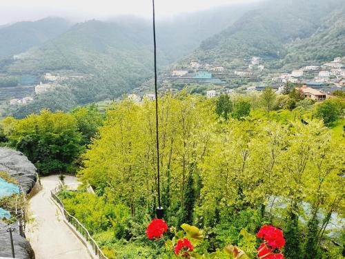 Φυσικό τοπίο κοντά σε αυτός ο ξενώνας