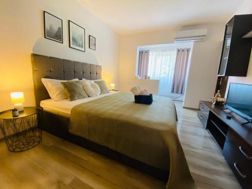 a bedroom with a bed and a flat screen tv at Mara apartment in Băile Herculane