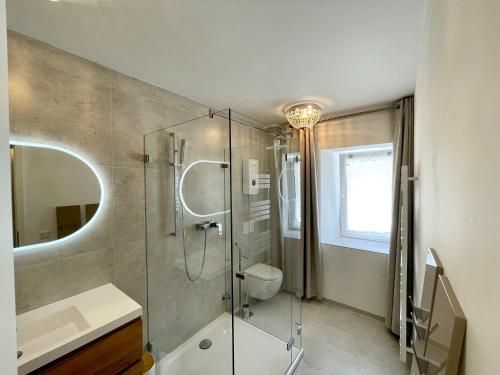 a bathroom with a shower and a toilet and a sink at La Mosel Winningen Penthouse Wohnung im „La Mosel“ in Winningen