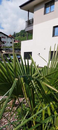 a house with a plant in front of it at Marlingsuites - Vinea - Wieser Josef - Marling in Marlengo