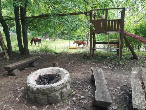 two horses are grazing in a field with a playground at Jurta az erdő mellett dézsával-KERESZ-TANYA in Pilisszentkereszt