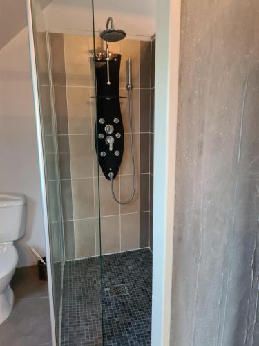 a shower in a bathroom with a glass door at Chambre Chagall - Closeries du Golfe in Theix