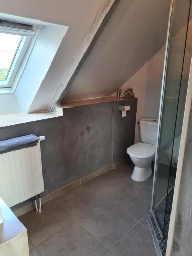 a attic bathroom with a toilet and a window at Chambre Chagall - Closeries du Golfe in Theix