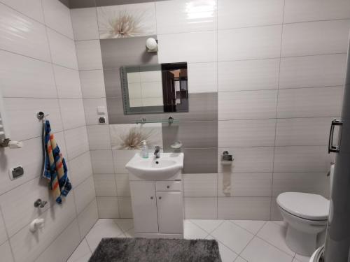 uma casa de banho com um lavatório, um WC e um espelho. em Apartament Witosa em Giżycko