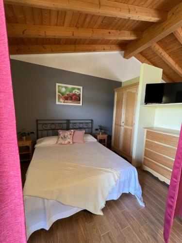 a bedroom with a large bed with a tv at Residence Ulivi in Cavaion Veronese