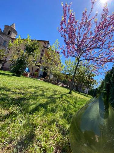 a glass bottle sitting in the grass next to a tree at Casa Vacanze Primula palinuri in Futani