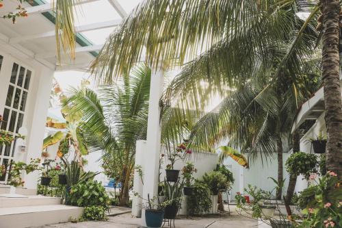 a greenhouse with palm trees and plants in it at Fiyala Homestay in Feydhoo