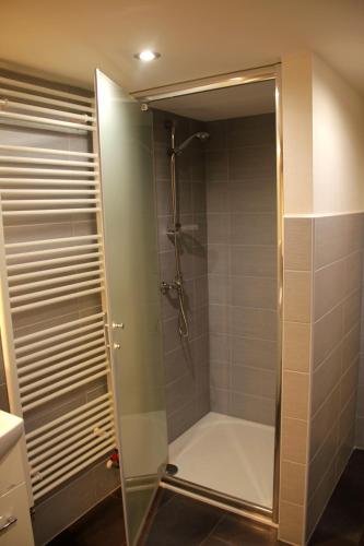 a shower with a glass door in a bathroom at Chalupa Nové Losiny in Nové Losiny