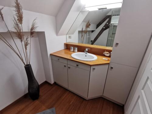 ein Badezimmer mit einem Waschbecken und einer Vase mit einer Pflanze in der Unterkunft La ferme de la Terve in Bruailles