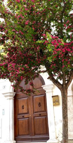 Φωτογραφία από το άλμπουμ του M.Mansion σε Σαν Τζιοβάνι Ροτόντο