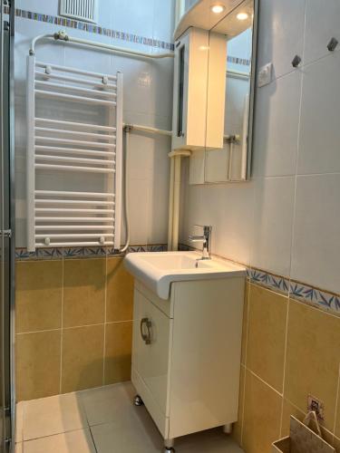 une salle de bain avec un lavabo et un miroir dans l'établissement OLE apartment III - in the city center, à Skopje