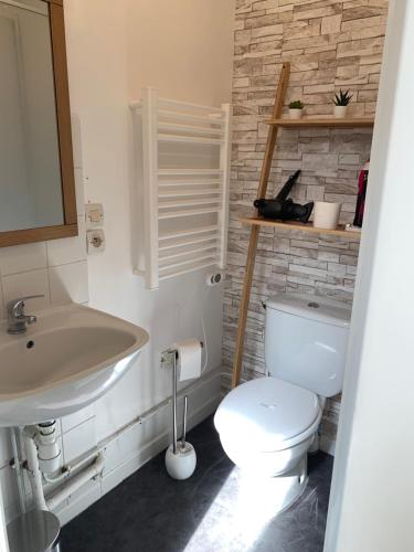 a bathroom with a white toilet and a sink at Grand studio, chambre séparée, calme, centre ville prox Cathédrale - parking possible in Orléans