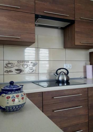 Η κουζίνα ή μικρή κουζίνα στο Villa TATRIA