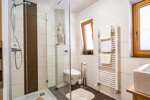 a bathroom with a shower and a toilet and a sink at Haus Berghof in Gries am Brenner