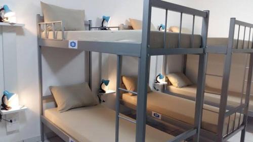 Двухъярусная кровать или двухъярусные кровати в номере Hostel Pajuçara