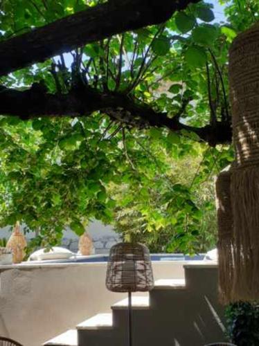 Κήπος έξω από το SOUS LE TILLEUL à RUOMS
