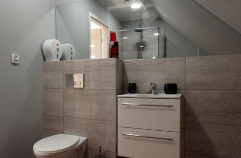 a bathroom with a toilet and a sink at Noclegi u Pioruna in Ryn