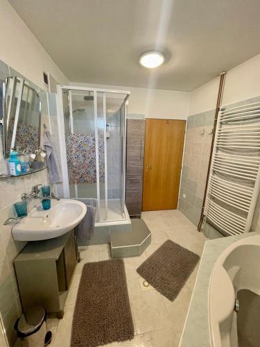 a bathroom with a sink and a shower at Ubytování U Mikeša in Břeclav