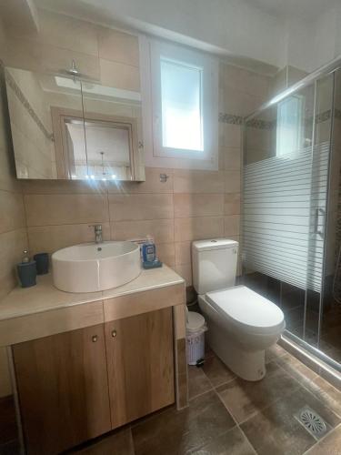 a bathroom with a toilet and a sink and a shower at Nastazia in Nea Peramos