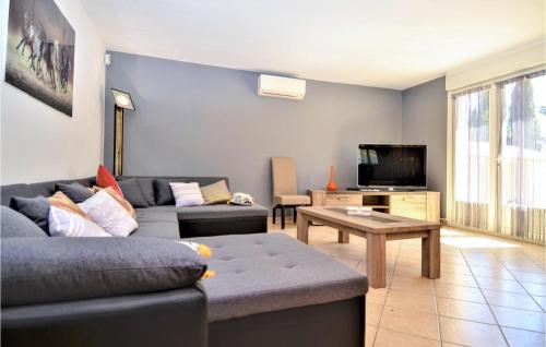 a living room with a couch and a tv at Awesome Home In Slaurent-La-Vernede in Fontarèches