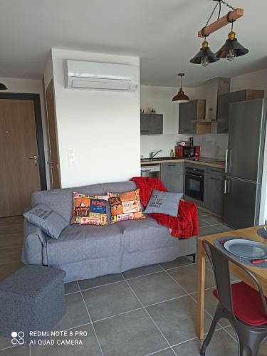 un salon avec un canapé et une cuisine dans l'établissement O GECKO MARIN T2 classé entre mer et village à pied, à Argelès-sur-Mer