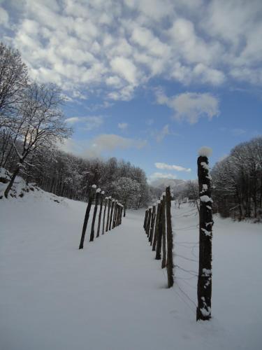 a fence covered in snow in a snowy field at Apartment Šavli in Kobarid