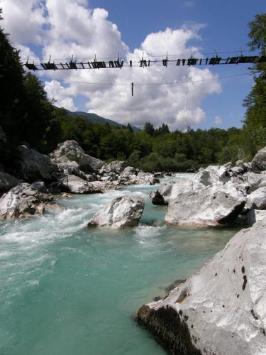 a group of birds sitting on a clothes line over a river at Apartment Šavli in Kobarid