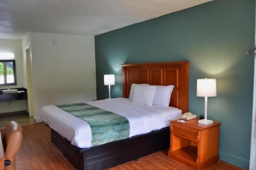 1 dormitorio con 1 cama grande y 2 lámparas en Days Inn by Wyndham Hardeeville Near Hilton Head, en Hardeeville