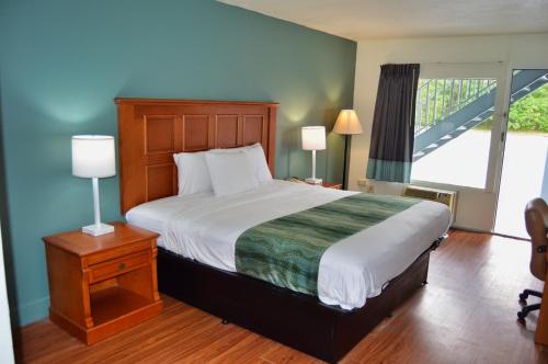 Un dormitorio con una cama grande y una ventana en Days Inn by Wyndham Hardeeville Near Hilton Head, en Hardeeville