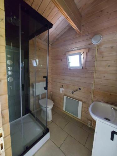 a bathroom with a glass shower and a toilet at kievit in Appelscha
