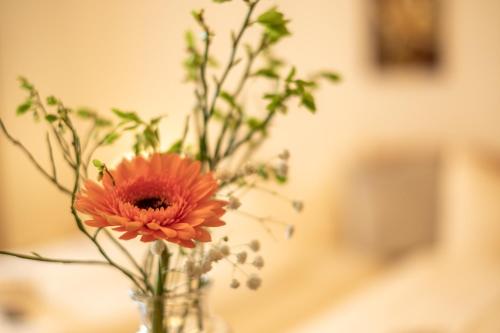 a vase with a red flower in it at Hotel Alpspitz B&B in Grainau