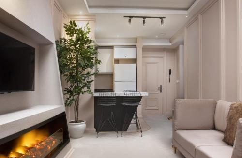 a living room with a fireplace and a couch at Walton Gardens Pera in Istanbul