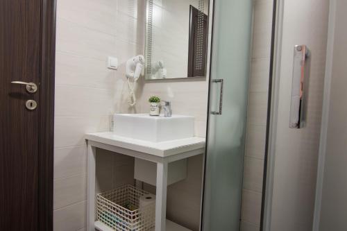a bathroom with a white sink and a shower at GardenLux Vrdnik in Vrdnik
