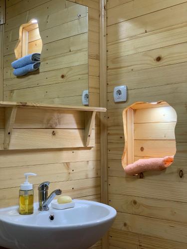 a bathroom with a sink and a wooden wall at Konaciste Mali Izvor in Boljevac