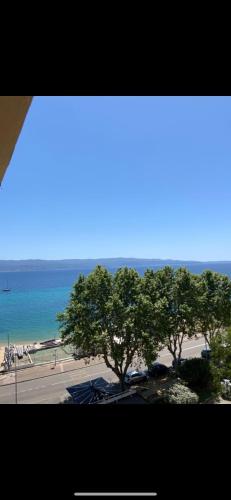 a view of a beach with trees and the ocean at Ajaccio magnifique T2 40m2 centre ville vue mer au bord de la plage neuf 5 personnes Clim wifi balcon parking privé fermé in Ajaccio