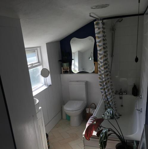 a bathroom with a toilet and a shower curtain at Cosy 2 bedroom Victorian cottage, Newport, Isle of Wight in Newport