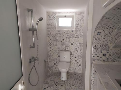 a bathroom with a toilet and a shower at Maison Bleu in Hammamet