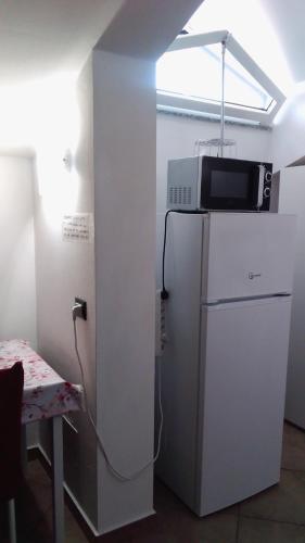 a microwave on top of a refrigerator in a room at La Quercia Fiorita in Trivolzio