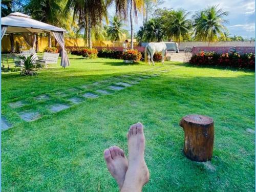 a persons feet on the grass with a tree stump at Hotel Fazenda Recanto das Águias in Aquiraz