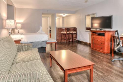 a living room with a couch and a bed and a television at The Ramsey Hotel and Convention Center in Pigeon Forge