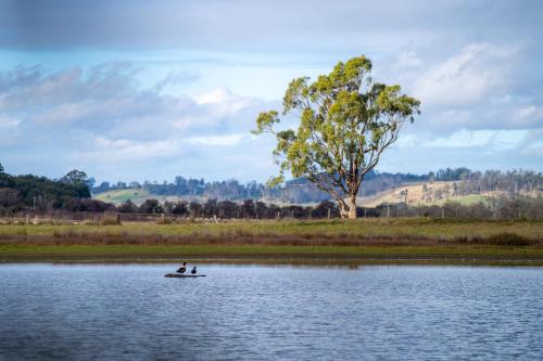 two people on a boat in the water at Blackwood Park Cottages Mole Creek in Mole Creek