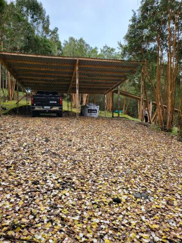 a truck parked under a cover in a field of leaves at El refugio del Volcan Osorno in Puerto Clocker