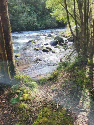 a stream of water with rocks and trees at El refugio del Volcan Osorno in Puerto Clocker