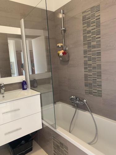 a bathroom with a shower and a bath tub at Studio with Private Parking in Monte Carlo
