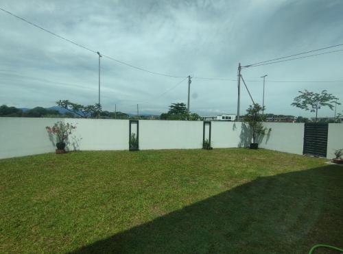 a white wall with two plants in a yard at PINKY VILLA in Ipoh