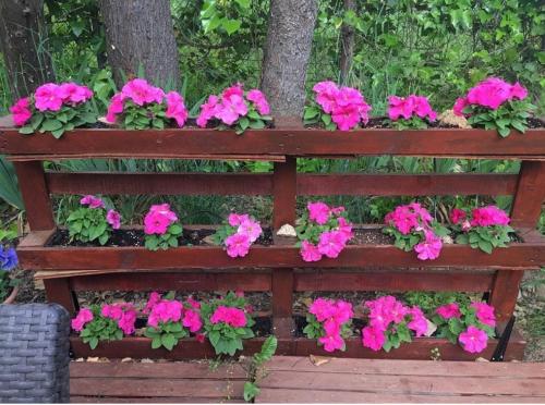 a wooden bench filled with lots of pink flowers at Casa Rural Saint Joseph in Peralejo