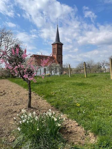 a church with a tower and a tree in a field at Quartier vert in Hunspach