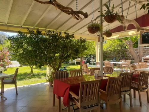Κήπος έξω από το Sunset Boutique Hotel & Apartments
