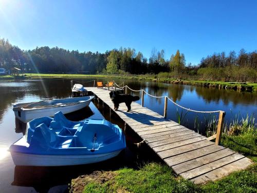 a black dog standing on a dock next to a boat at Kemping i Domki nad stawem in Harsz